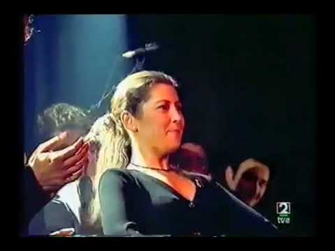 Casa Patas Fiesta por Bulerias