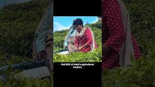 India's women farmers🫡