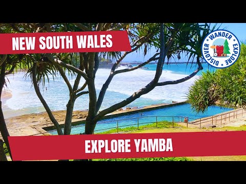 🐬 Explore Yamba NSW ~ Things to do in and around Yamba