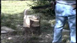 preview picture of video 'Karl-Olof Gustafsson Chainsaw Carving Art 1994'