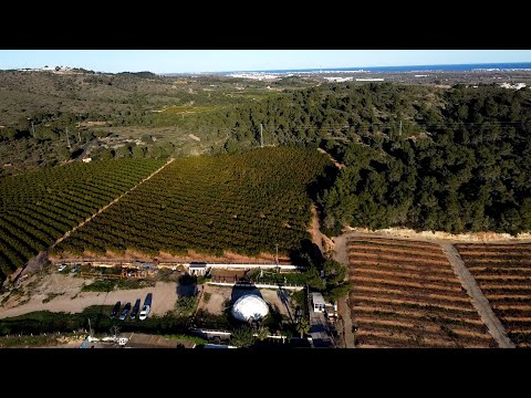 Proyecto Oasis Artístico