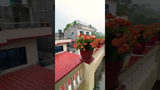 Rainy day in Nepal. Rainy days bring a special kind of peace. #rainingday #nepal