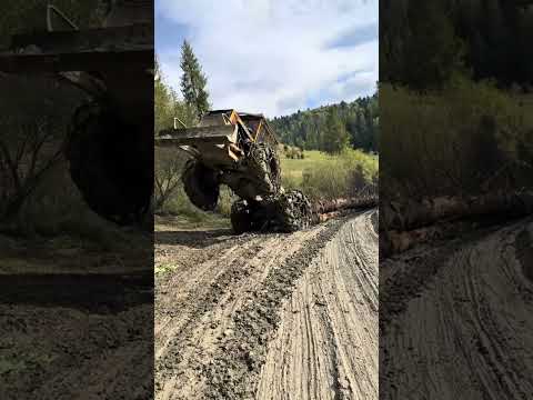 🔥💨 LKT 81T Skidder in Action – Real Logging Power 🌲 #lkt #lkt81t #logging #forestry #tractor #wood