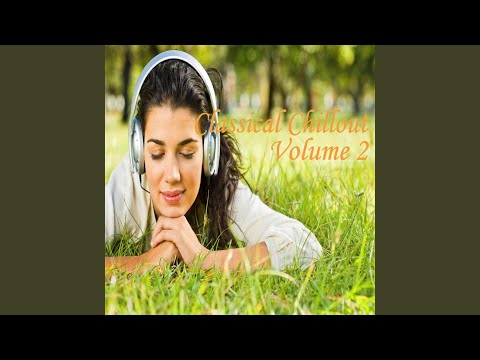 Guitar Concerto in D Major: Largo