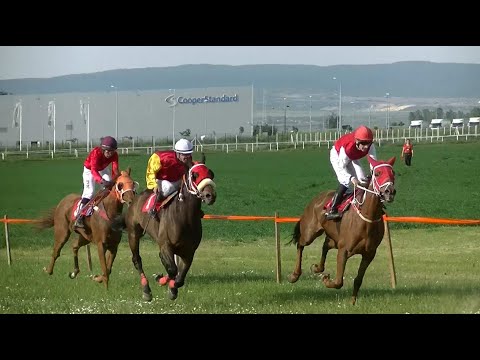 Konjicke galopske trke - Sremski kup 2022