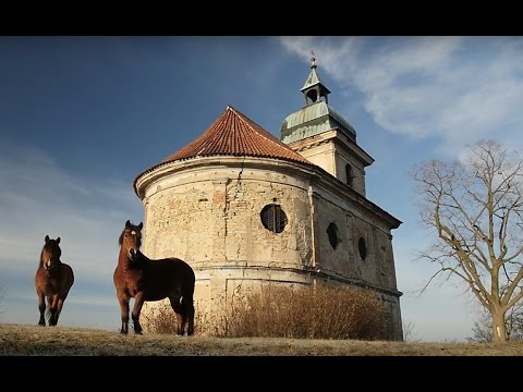 LOLA - Divoký koně (official video)