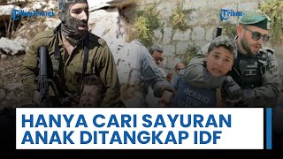 Tentara Israel Tahan Anak-anak Palestina atas Permintaan Pemukim Ilegal karena Kumpulkan Sayur Liar