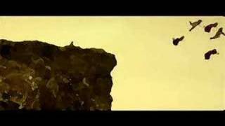 This Is That New Song Music Video