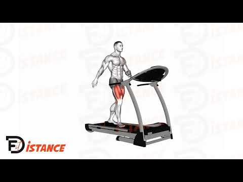 Marche sur Tapis de course - Exercice Marche sur Tapis de course en vidéo Marche sur Tapis de course - Exercice Marche sur Tapis de course en vidéo