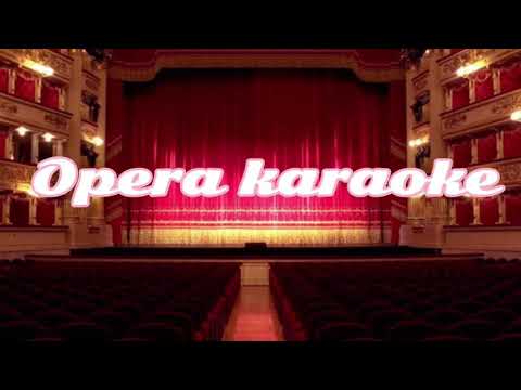 Opera karaoke                   Largo  al factotum—Il Barbiere di Siviglia