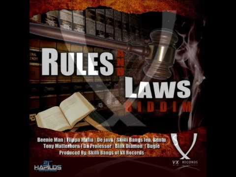 Rules & Laws Riddim Mix 2011 [VX Records] (Brand New April 2011)