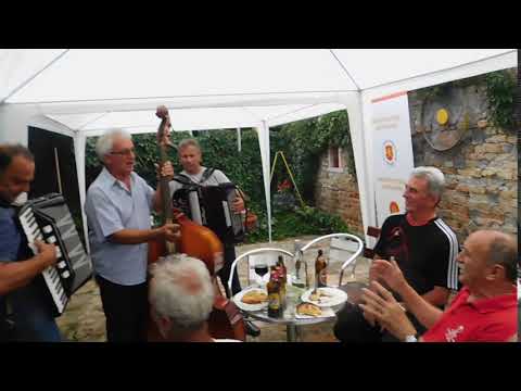 SVEDOSTVA  ZELNIK FEST 2018 KACAREVO