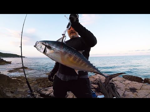 Little Tunny at the idyllic Adriatic morning | Spinning Off The Rocks