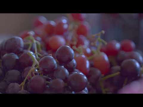 test HDR-HDR,PQ-LUTGM2.4TOHDR-MAIN 4.2.2.10.mp4