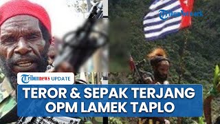Gembong OPM Lamek Taplo Tewas dalam Kontak Tembak dengan TNI, Begini Teror & Serpak Terjangnya