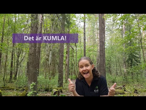 Hällkistans naturreservat, Kumla - The next best thing!