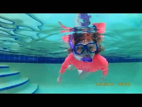 Sarasota Florida Swim in the Pool 2016