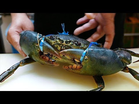 download lagu mp3 mp4 Crabs In De, download lagu Crabs In De gratis, unduh video klip Crabs In De