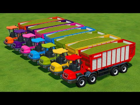 CUT SUNFLOWERS AND MAKE CHAFF WITH HOLMER FORAGE HARVESTERS AND CASE TRACTORS - FS 22