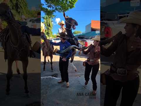 Nóis chama e até as mulas vem! Repicando o berrante para a Família de Tropeiros de Iporá-GO no 3° En