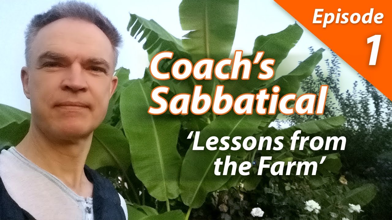 Coach`s Sabbatical series: Lessons from the farm, Ep. 1 l KERNFINDUNG
