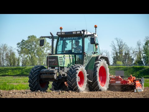 Fendt Farmer 309 + Erpice Maschio Gaspardo