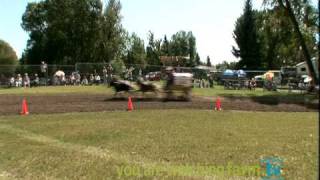 preview picture of video 'World Miniature Horse Chuck Wagon Championship Race 1 to 3'