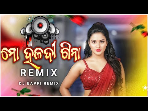 Mo Haladi Gina - Remix | New Odia Dj Song | Dj Bappi | Odia Dj Song | Odia Dj Remix