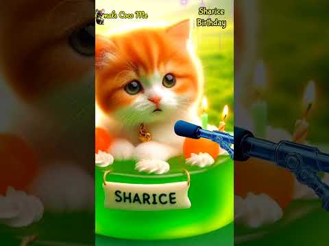 SHARICE HAPPY BIRTHDAY | HAPPY BIRTHDAY SONG WITH NAMES | Adorable Cute Cat 😺 #cat #cute