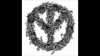 Trash Talk - Blind Evolution