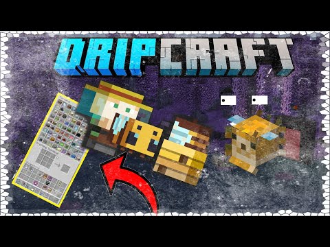 QUAL É A MELHOR ARMADURA NO DRIPCRAFT? MODPACK DOS YOUTUBERS     #dripcraft