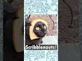 The Buttered Cat Paradox #nostalgia #scribblenauts #easteregg