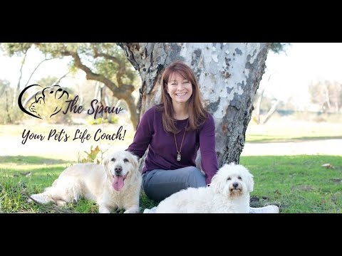 The Spawdcast LIVE Q&A with Dr. Michael Dym on "Pet Vaccines Explained"!