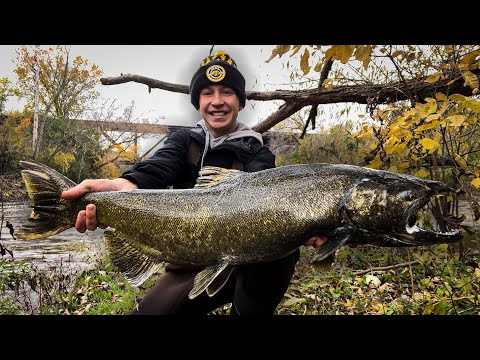 ZOMBIE SALMON Almost DROWNS Me in the River! (Crystal Clear Sight Fishing)