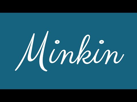 Learn how to Write the Name Minkin Signature Style in Cursive Writing