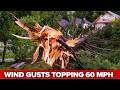 'Nightmare scenario': Tornado sirens sound as storm blasts Cincinnati neighborhoods