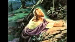 Something About That Name by Sonicflood