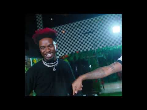 Mafa Mafa feat  Davido, The Flowolf, Peruzzi & Dremo Official Video