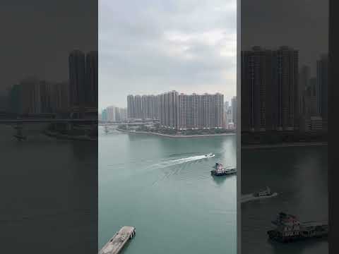 海之恋 Youtube Video