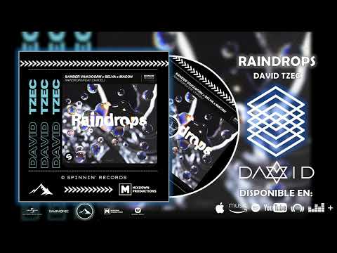 @SandervanDoorn @WeAreSelva x Macon - Raindrops (feat. Chacel) [David Tzec Remix]
