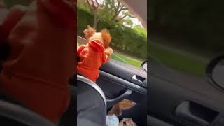 Funny Videos 2021 ● #shorts