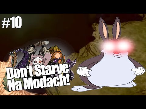 KLEPA Z OLBRZYMIM KRÓLIKIEM! - Don't Starve Na Modach #10