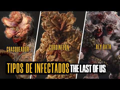 ALL STAGES OF CORDYCEPS IN TLoU EXPLAINED