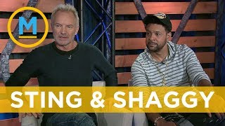Sting says him and Shaggy are ‘kindred spirits’ | Your Morning