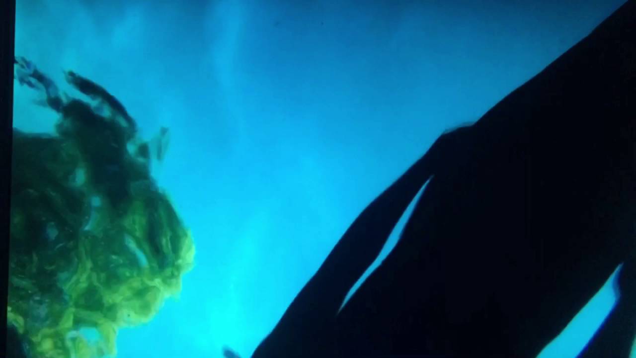 The Sacramento Mermaids July 2016