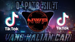 Download lagu DJ PAMBASILET AYAM AYAM SLOW VIRAL TIK TOK FULL BASS TERBARU 2021 mp3