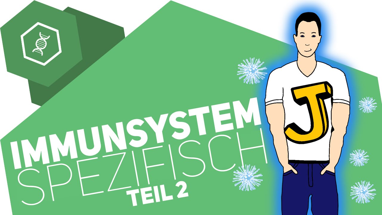 Spezifische Immunabwehr 2 - Immunsystem