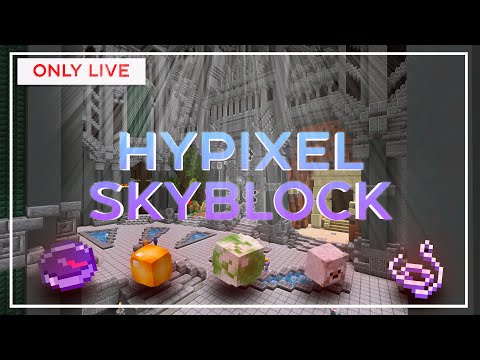 SURPRISING FIND in Hypixel Skyblock?!