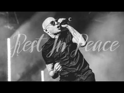 Linkin Park x Małpa x Sobota x Miuosh - Sorry For Now (DZiMi Blend)