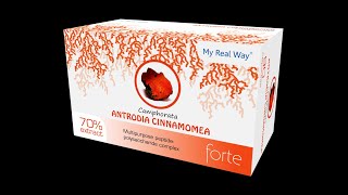Antrodia Camphorata forte ᐉ 70% экстракт гриба Антродия камфорная